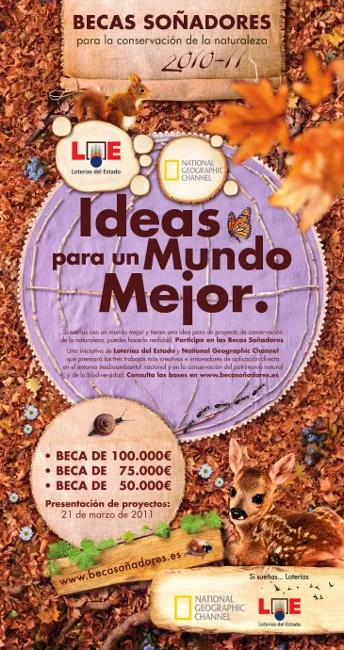 Becas Soñadores