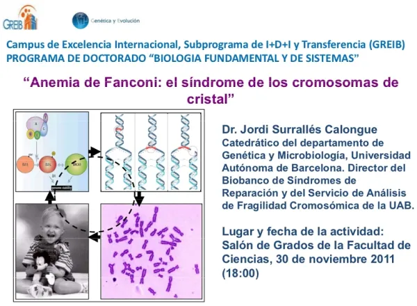 Anemia de Fanconi: el síndrome de los cromosomas de cristal