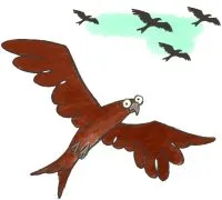 Jornada de aves en charca de Suárez