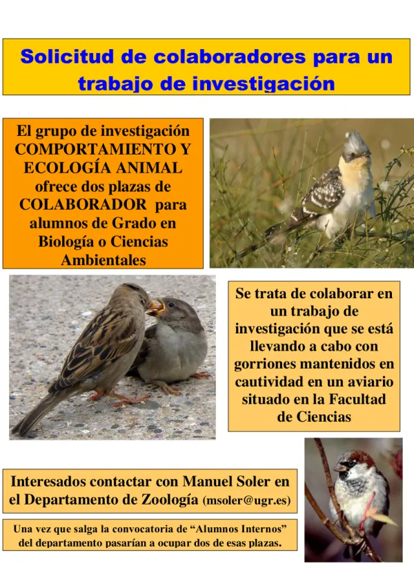 Solicitud de colaboradores para un trabajo de investigación para alumnos de Grado en Biología o Ciencias Ambientales