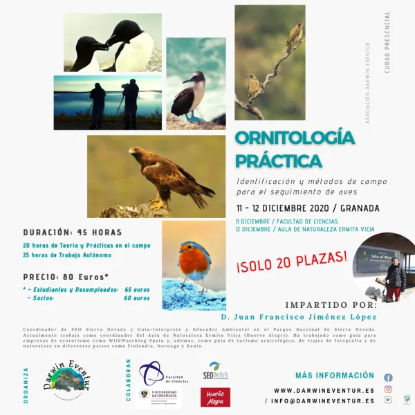 Curso presencial "Ornitología Práctica"