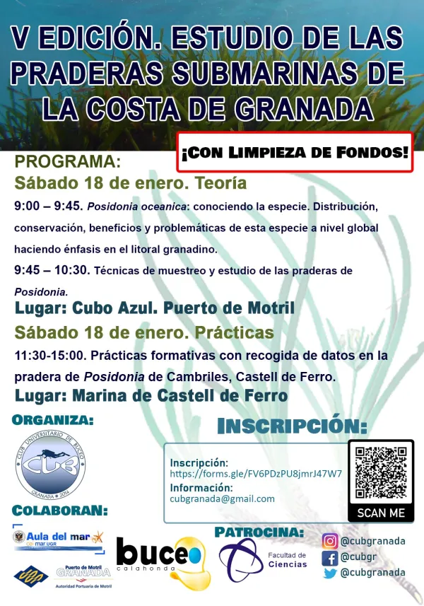 V Edición del Curso de Estudio de las Praderas Submarinas de la costa de Granada 