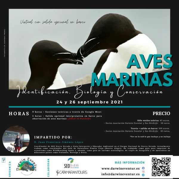 Curso Semipresencial "Aves marinas: identificación, biología y conservación"