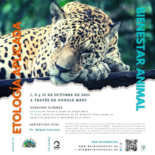 Curso Virtual "Etología aplicada y bienestar animal"
