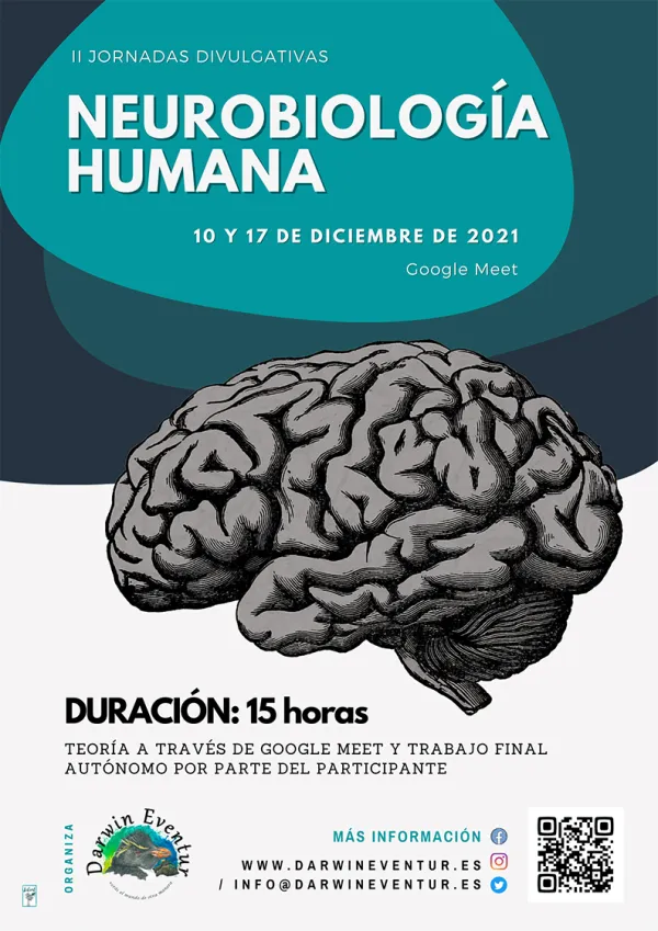 II Jornadas Divulgativas: Neurobiología Humana
