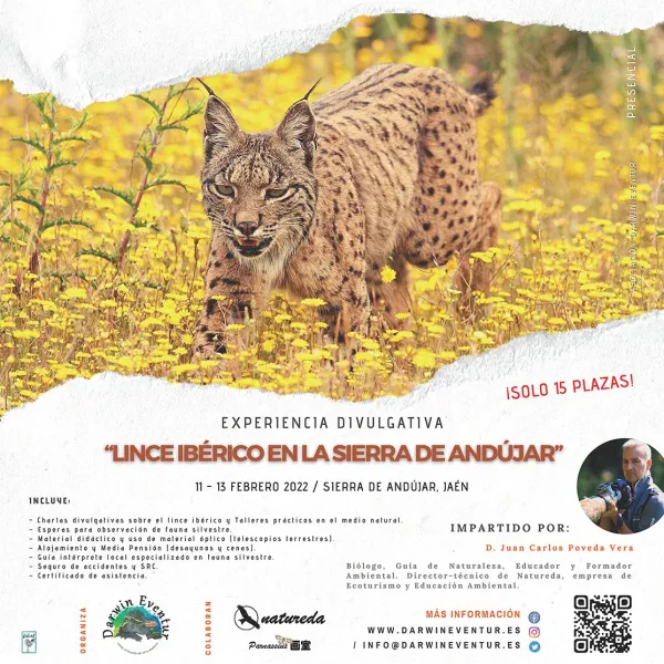 Experiencia divulgativa "Lince Ibérico en la Sierra de Andújar"