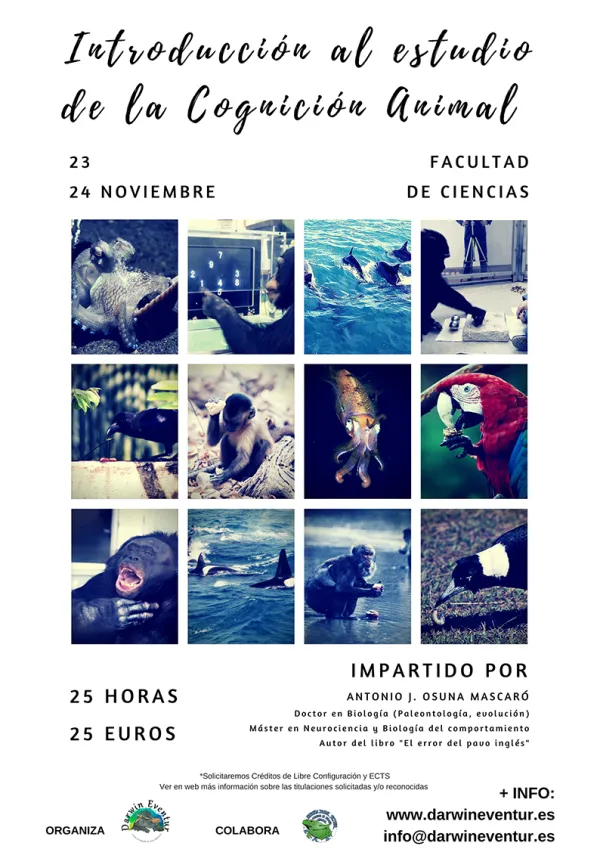 Introducción al estudio de la Cognición Animal