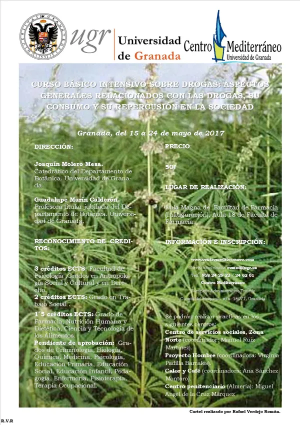 Curso básico intensivo sobre drogas: aspectos generales relacionados con las drogas, su consumo y su repercusión en la sociedad