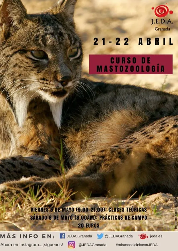 Curso de Mastozoología