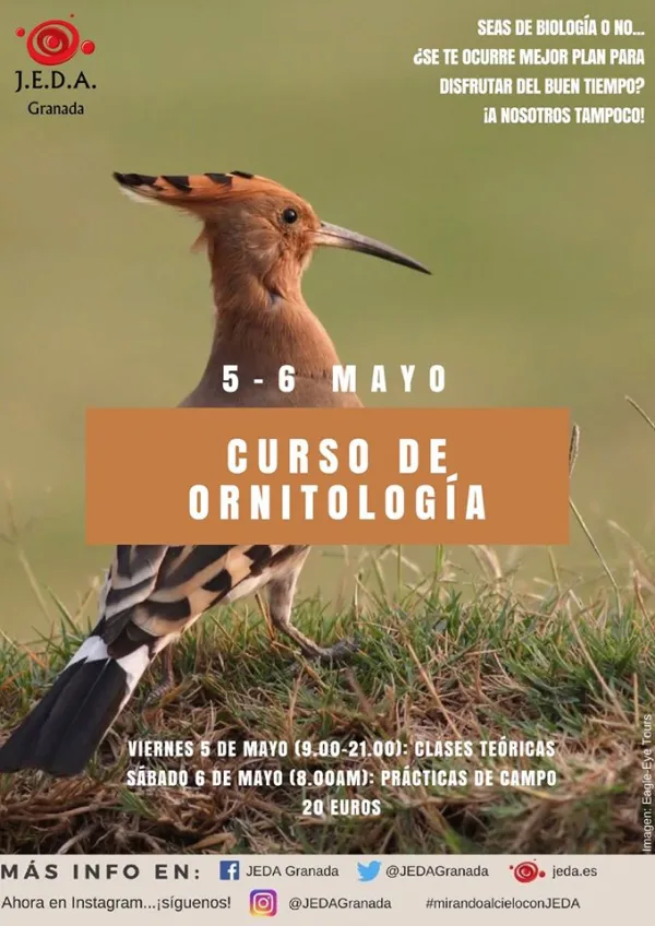 Curso de ornitología