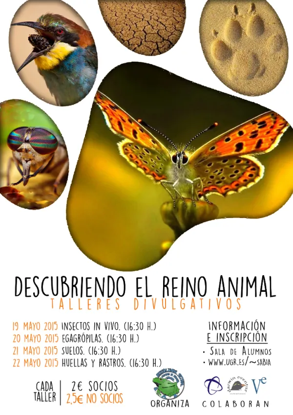 Descubriendo el Reino Animal