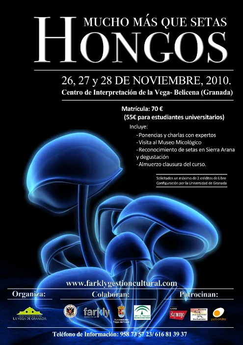 Mucho más que setas Hongos