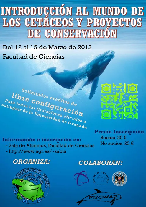 Introducción al Mundo de los Cetáceos y Proyectos de Conservación
