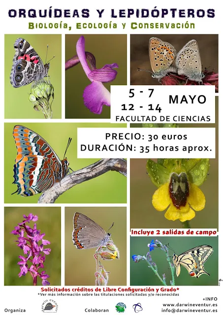 Orquídeas y lepidópteros diurnos: biología, ecología y conservación