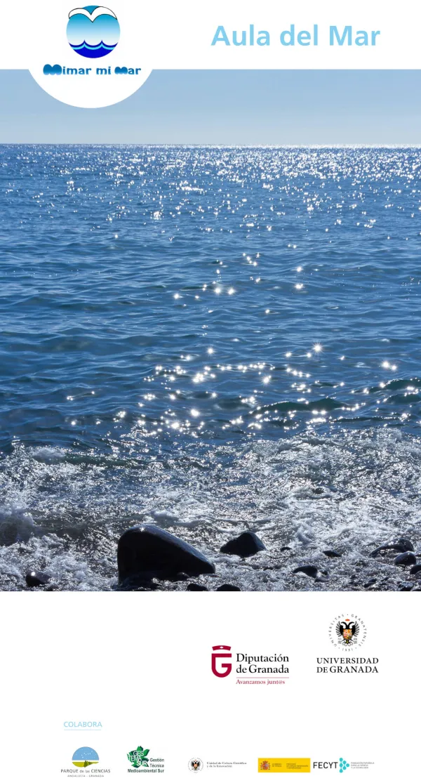 Celebración del Día Internacional del Mar