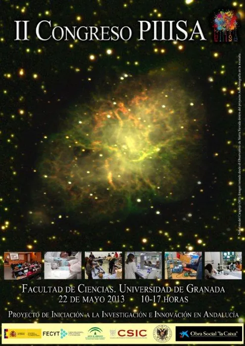 III Encuentro PIIISA