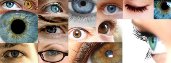 Estudio con personas présbitas