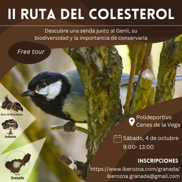 II Ruta del Colesterol