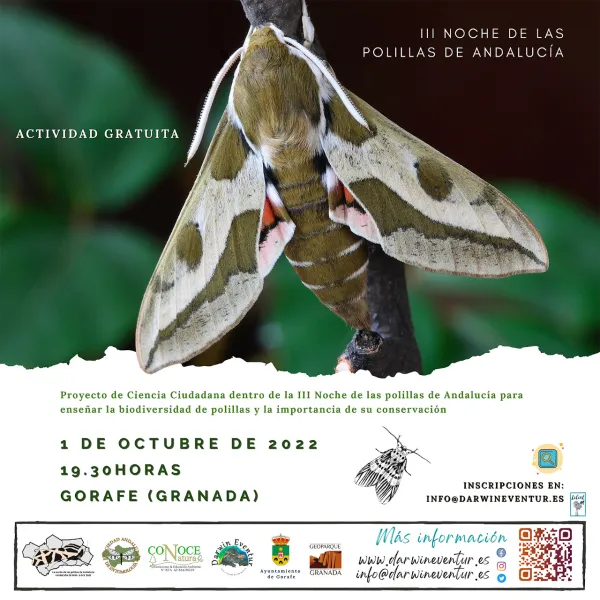 III noche de las polillas