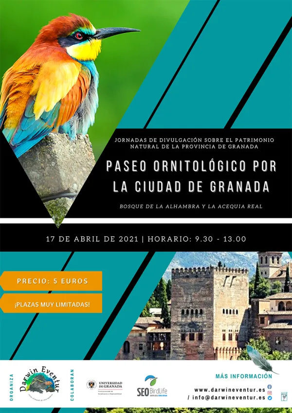 Paseo Ornitológico por la Ciudad de Granada