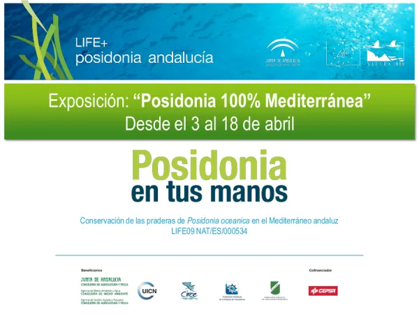 Exposición Life Posidonia
