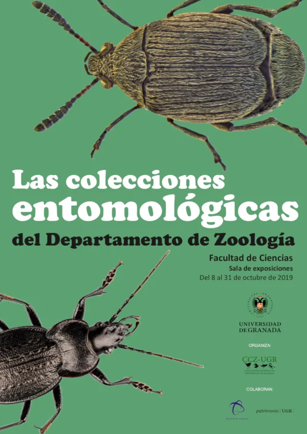 Exposición de Las colecciones entomológicas del Departamento de Zoología