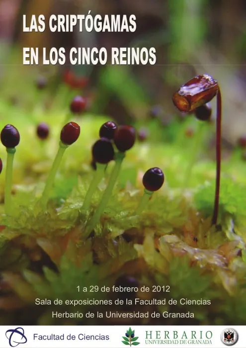 Los Criptógamas en los cinco reinos