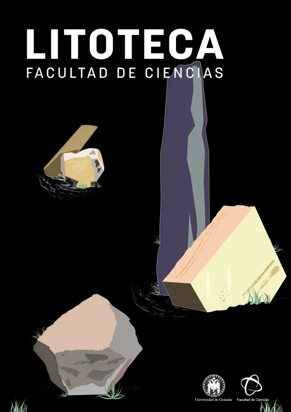 Litoteca de la Facultad de Ciencias