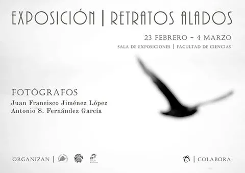 Exposición "Retratos Alados"
