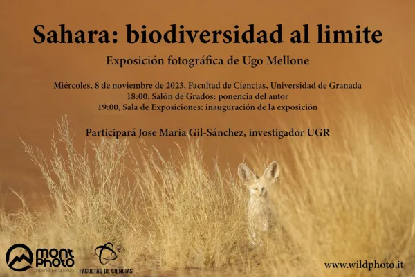 Sahara: Biodiversidad al limite