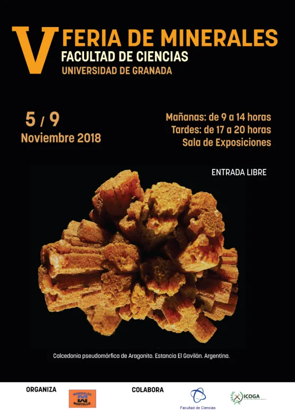 V Feria de Minerales