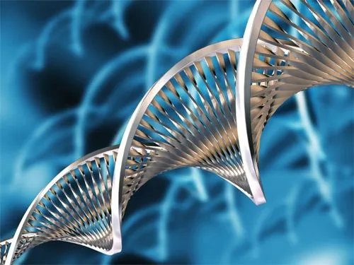 Nuevo grado en Biotecnología