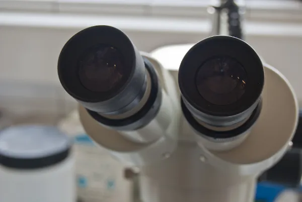 Prácticas docentes en la Facultad de Ciencias