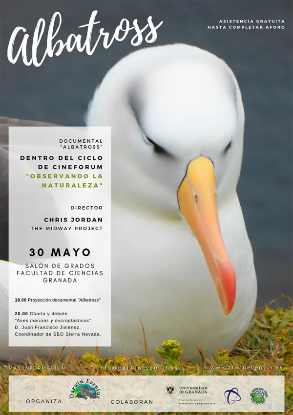 Proyección del Documental Albatross de Chris Jordan