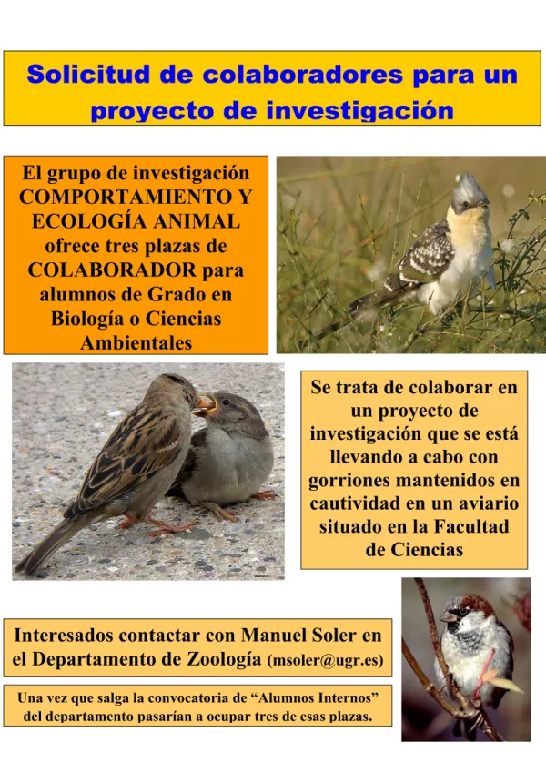 Solicitud de alumnado colaborador para un proyecto de investigación con gorriones