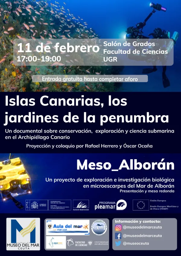 Islas Canarias, los jardines de la penumbra y Meso_Alborán