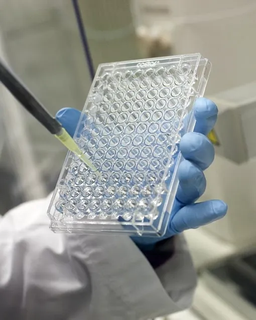 Carta abierta por la Ciencia