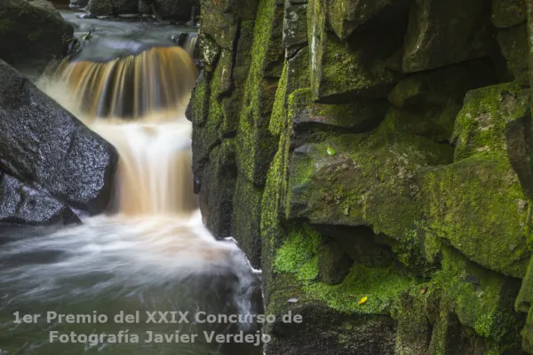 Fotografías premiadas del XXIX Concurso de Fotografía Javier Verdejo