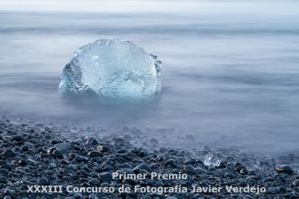 Premios convocados con motivo de la celebración de la festividad de San Alberto Magno 2022