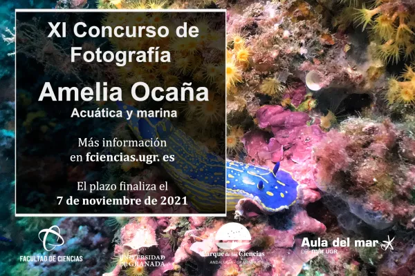 XI Concurso de Fotografía Amelia Ocaña
