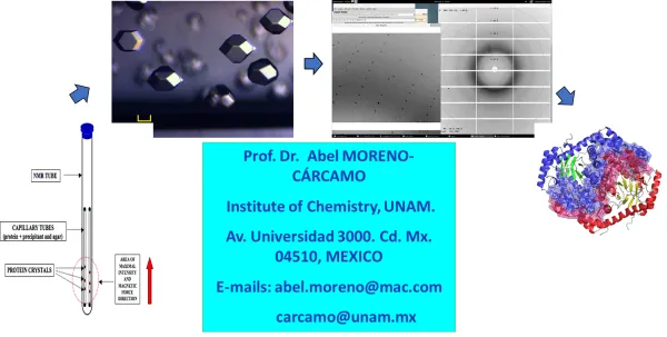 The effect of the electromagnetic fields on the crystallization and on the 3D structure of proteins. Applications to the hiperelectrosensitivity, a new disease of the modern World.