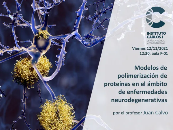 Modelos de polimerización de proteínas en el ámbito de enfermedades neurodegenerativas