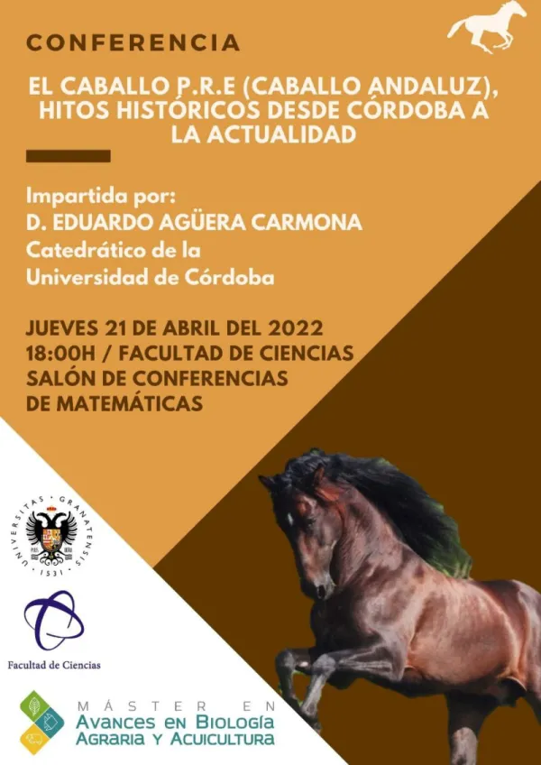 Caballo P.R.E (Caballo Andaluz), hitos históricos desde Córdoba hasta la actualidad