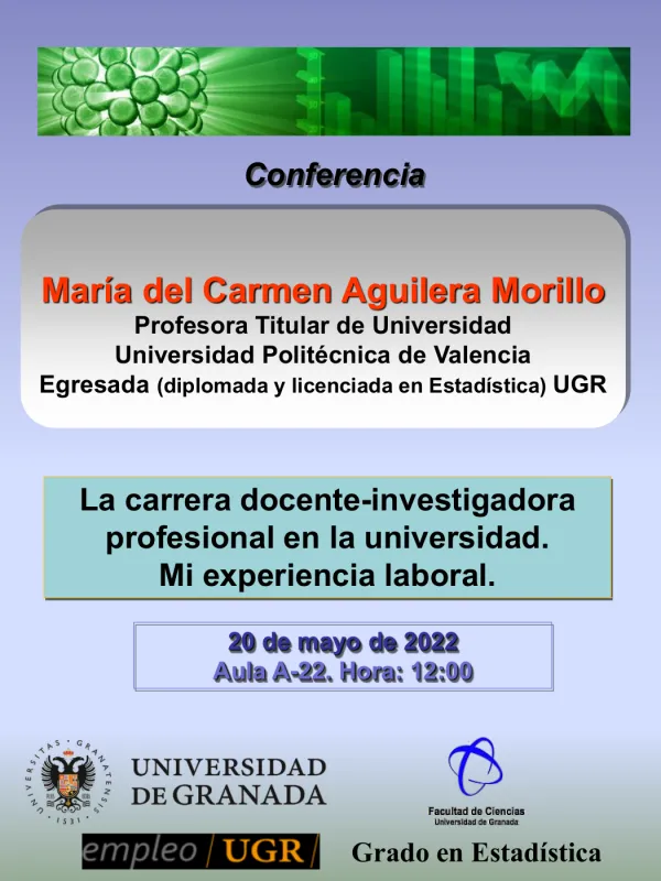 La carrera docente-investigadora profesional en la universidad. Mi experiencia laboral