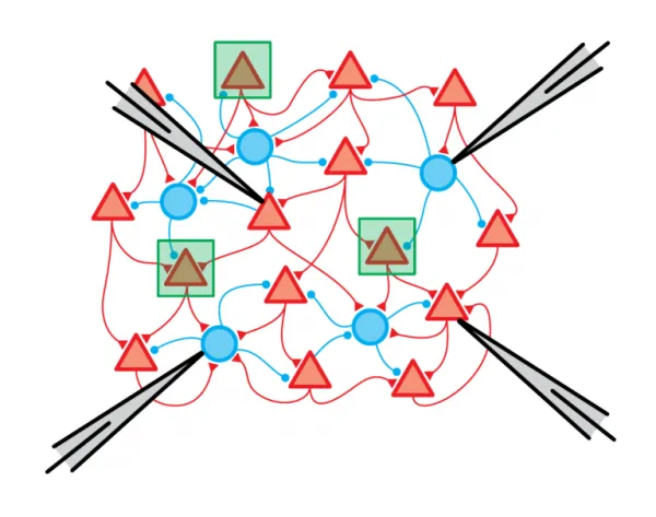 Determinación de la energía libre interfacial hidrato de dióxido carbono – agua mediante simulación molecular