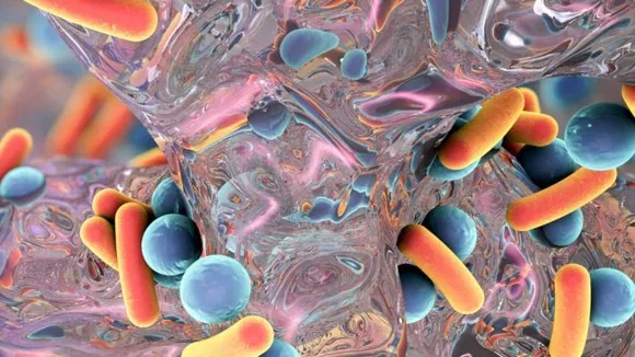 A macroecological law describes correlations as a function of phylogenetic similarity in microbial ecosystems.