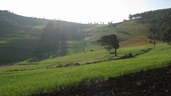 Conferencias sobre las estratigrafía de Myanmar