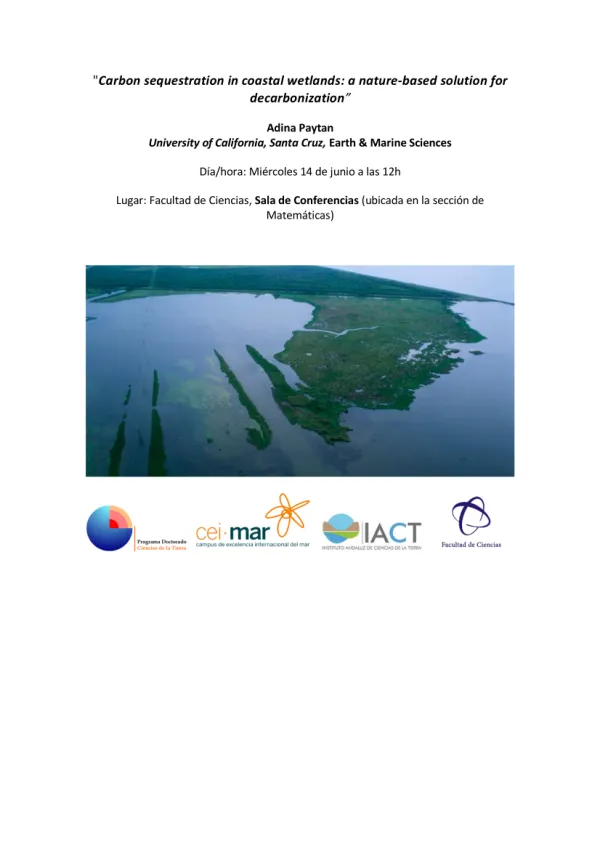 Carbon sequestration in coastal wetlands: a nature-based solution for decarbonization