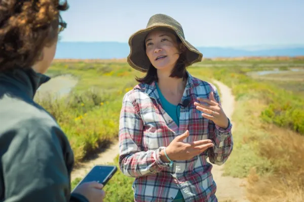 Assessing the Climate Mitigation Potential of Tidal Wetlands at the Ecosystem Scale