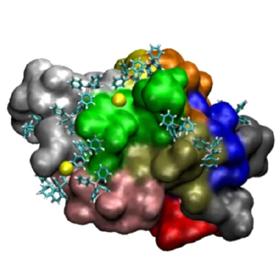 Interaction of pNIPAM chains with Hydrophobic ions
